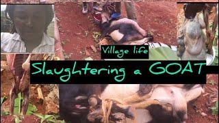 African Village Life|Slaughtering a GOAT|Full video at our friends place|Hubby & his friend did it.