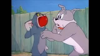 Tom and Jerry, 35 Episode - The Truce Hurts || Том и Джерри - Перемирие причиняет боль