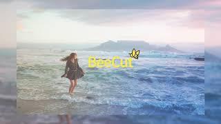 BeeCut V1.6.7.14 An Easy Video Editing Software to Make Your Story Come Alive