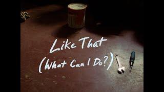 Lane Webber & Lauren Dillen - Like That (What Can I Do?) | Official Music Video