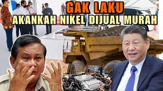SADIS!! Kena Sleding Mobil China, Nasib Nikel Indonesia Di ujung Tanduk Gak Laku di Dunia?