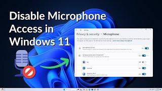 How to Disable Microphone Access in Windows 11