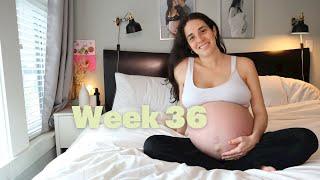 Due Date? // Sitting in Discomfort + Big Belly Shot | 36 Week Twin Pregnancy Update