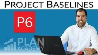 Introduction to Project Baselines in Primavera P6 Professional