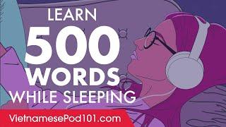 Vietnamese Conversation: Learn while you Sleep with 500 words