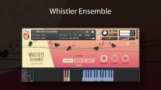 Whistler Ensemble - Walkthrough