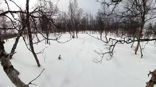 Skiing in Hemavan: Offpist near Hemavan Gondol.