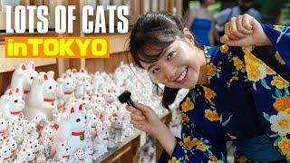 "Gotokuji Temple: A Hidden Gem in Tokyo with Thousands of Beckoning Cats"