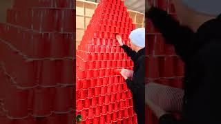 We Make Tallest Cup Tower