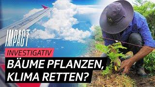 Flug kompensieren? – Bauern kritisieren Schweizer Umweltprojekt | Impact Investigativ | SRF