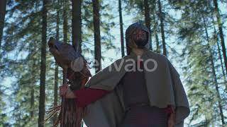 Warrior with the Dacian Draco | Stock Footage - Envato elements