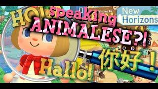 Animal Crossing New Horizons — LANGUAGE COMPARISON (Animalese)