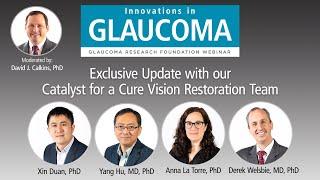 Glaucoma Research Update: Catalyst for a Cure Vision Restoration