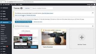 Perfect Magazine Theme Installation and Import