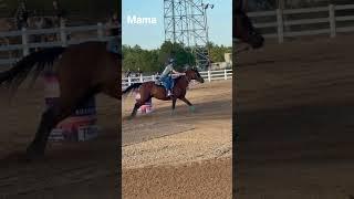 Haters Suck #missy #barrelracing #horse #arabian #barrelracerlife #arabians #rescue #haters