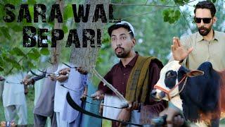 Sara wal Bepari | Buner Vines