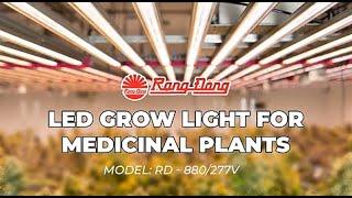 Rang Dong Lighting || LED grow light with right spectrum serves best medicinal plants