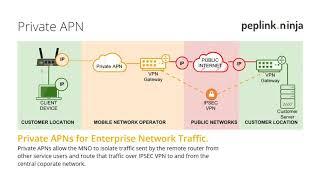 Understanding The Use of Private APNs and SDWAN