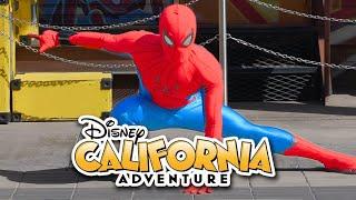 Disney California Adventure - 2025 Full Tour & Ride POVs | 4K 60FPS