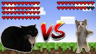 Maxwell cat vs shnappy cat! Meme battle