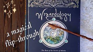 Booksploration: Wizardology (Book 3 of the -Ology Series by Candlewick Press)