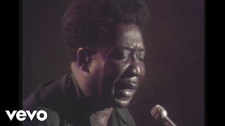 Muddy Waters - Honey Bee (Live)