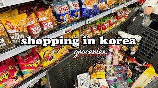 shopping in korea vlog  grocery food haul with prices  cheap or expensive? 