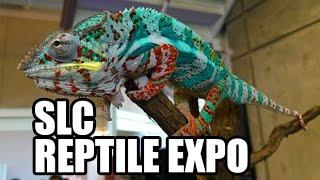 Exploring the Salt Lake City Reptile Expo 2017