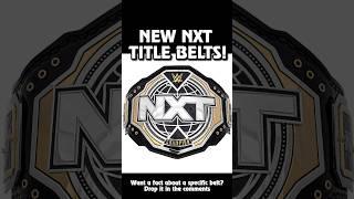 NEW WWE NXT Championship Title Belts #shorts #wwe #NXT #WWENXT HazardF5 WWE Belt Review