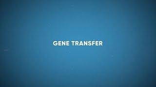 CF Foundation | Gene Transfer