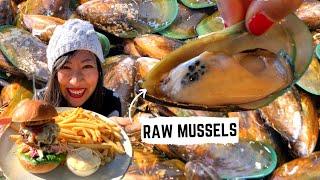 Eating RAW MUSSELS + New Zealand's OLDEST pub South Island, New Zealand | New Zealand FOOD TOUR