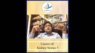 Bladder Wellness Campaign : Dr. Shashanka Dhanuka advice on Causes of Kidney Stones