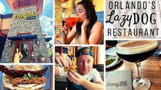 Orlando's Lazy Dog Restaurant | New Must Do Restaurant near Disney with Rocky Mountain Vibes & Foods