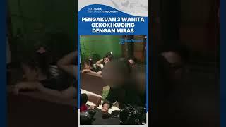 Pengakuan Tiga Wanita yang Cekoki Kucing dengan Miras, Ngaku Hanya Beri Makan Dua Kali Sehari