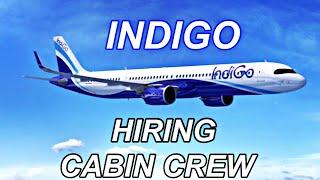 Indigo Hiring Cabin crew 2020 || JOB OPPORTUNITIES IN AVIATION