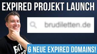 6 neue Deutsche Expired Domains projektieren (€€€) - Build in Public #45 (26.06.)