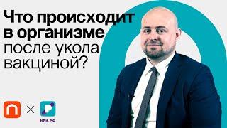 Как действует вакцина «Спутник V» / Владимир Гущин на ПостНауке