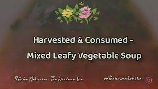 Harvested & Consumed - Mixed Leafy Vegetable Soup