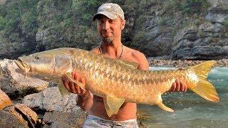 Fishing in Nepal river | record Golden Mahseer (138cm) |  big fish caught