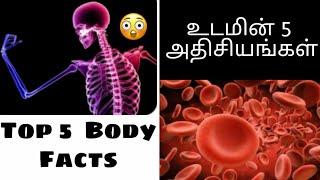 Top 5 Body Facts | About Our Body | Triple Five | Tamil