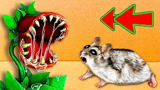  ESCAPE the Hamster Maze of DOOM!