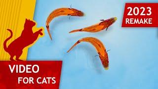 Cat Games -  Catching Fish Remake 2023 (Video for Cats to watch) 4K