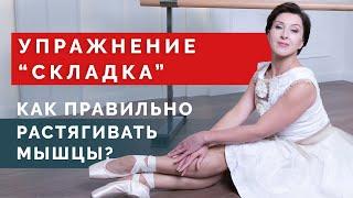 Как научиться делать "Складку" вперед? Упражнение на растяжку и спину!