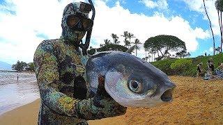 Spearfishing Hawaiian Style - Big Catch!!