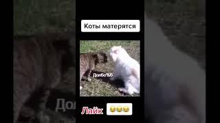 НОВЫЕ ПРИКЛЮЧЕНИЯ МОРГЕНШТЕРНА  - МУД MORGENSTERN  #shorts #morgenshtern #муд #memes