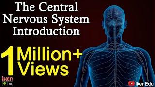 The Central Nervous System- Introduction | iKen | iKen Edu | iKen App