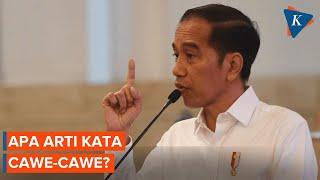 Arti Cawe-cawe yang Sering Diucapkan Jokowi