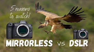 Mirrorless vs DSLR for wildlife photography | 5 reasons you should switch now!