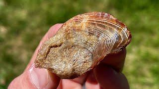 Turning Rough Agate into Polished Specimen! Lapidary Gem Polishing