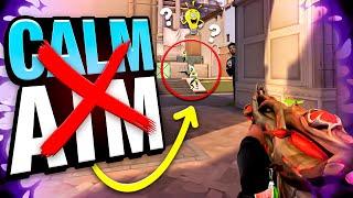 aim components hidden behind calm aim in valorant